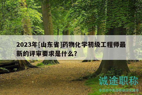 2023年[山東省]藥物化學(xué)初級(jí)工程師最新的評(píng)審要求是什么？