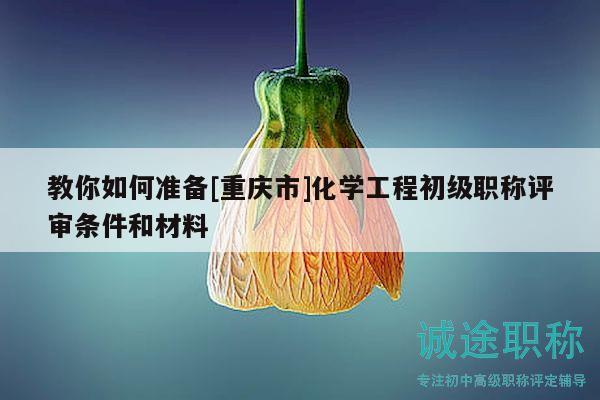 教你如何準(zhǔn)備[重慶市]化學(xué)工程初級職稱評審條件和材料