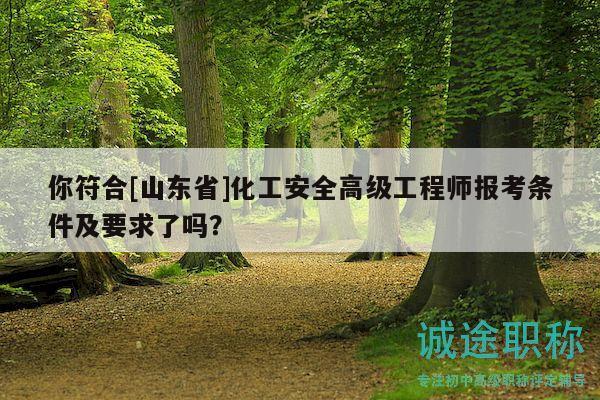 你符合[山東省]化工安全高級(jí)工程師報(bào)考條件及要求了嗎？