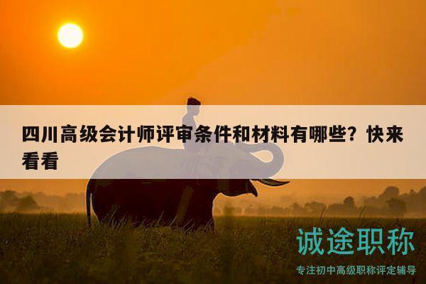 四川高級(jí)會(huì)計(jì)師評(píng)審條件和材料有哪些？快來(lái)看看