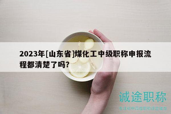 2023年[山東省]煤化工中級(jí)職稱申報(bào)流程都清楚了嗎？