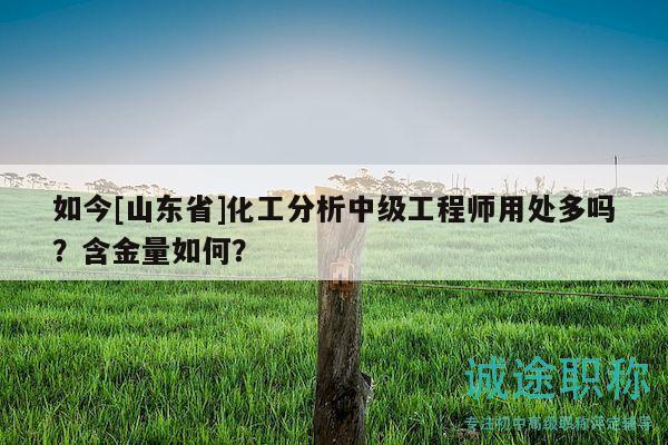 如今[山東省]化工分析中級(jí)工程師用處多嗎？含金量如何？