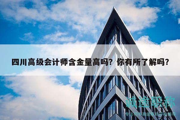 四川高級(jí)會(huì)計(jì)師含金量高嗎？你有所了解嗎？