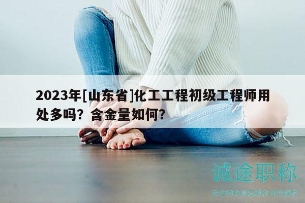 2023年[山東省]化工工程初級(jí)工程師用處多嗎？含金量如何？