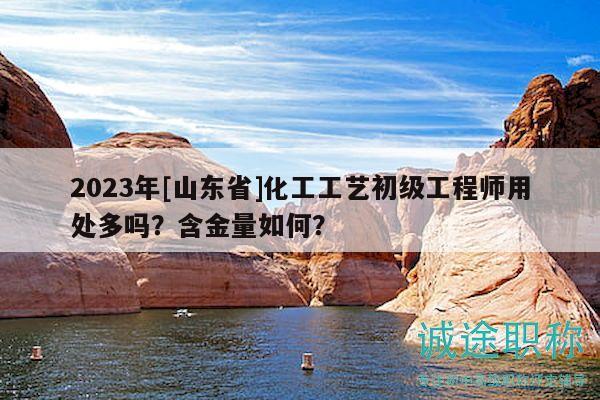 2023年[山東省]化工工藝初級工程師用處多嗎？含金量如何？