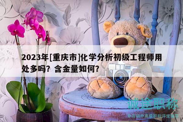 2023年[重慶市]化學(xué)分析初級(jí)工程師用處多嗎？含金量如何？