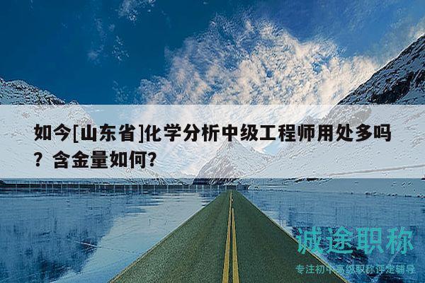 如今[山東省]化學(xué)分析中級工程師用處多嗎？含金量如何？
