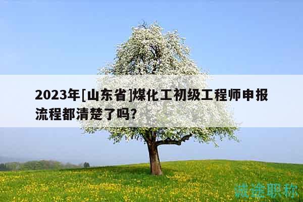 2023年[山東省]煤化工初級(jí)工程師申報(bào)流程都清楚了嗎？