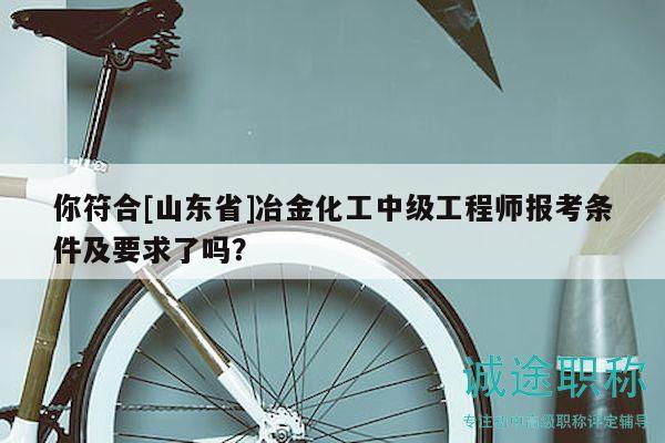 你符合[山東省]冶金化工中級工程師報考條件及要求了嗎？