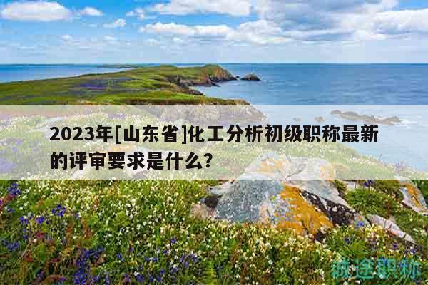 2023年[山東省]化工分析初級職稱最新的評審要求是什么？