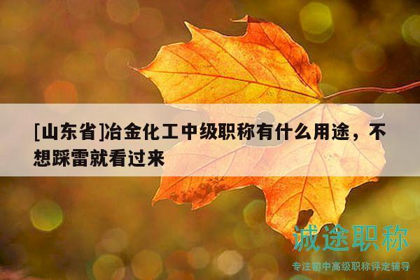 [山東省]冶金化工中級職稱有什么用途，不想踩雷就看過來