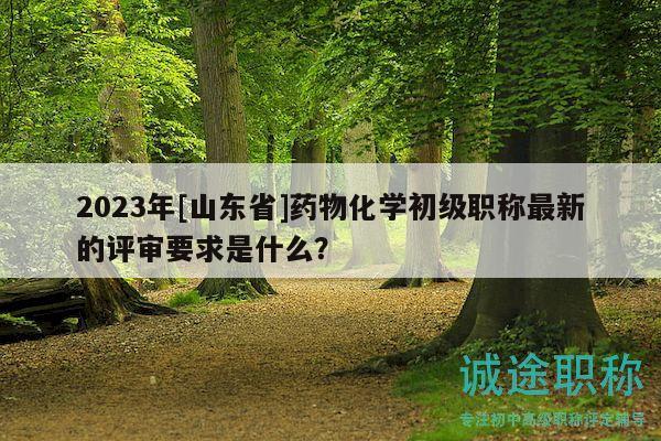 2023年[山東省]藥物化學初級職稱最新的評審要求是什么？