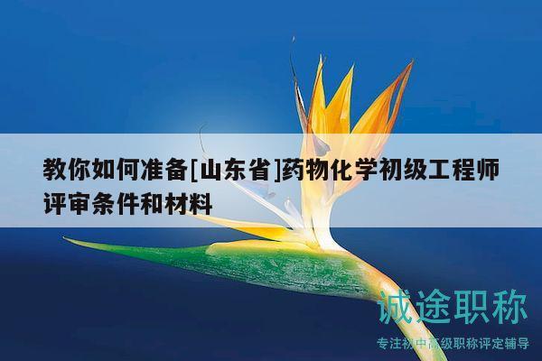 教你如何準備[山東省]藥物化學初級工程師評審條件和材料