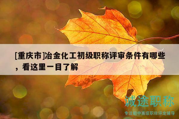 [重慶市]冶金化工初級職稱評審條件有哪些，看這里一目了解