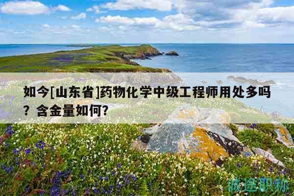 如今[山東省]藥物化學(xué)中級(jí)工程師用處多嗎？含金量如何？