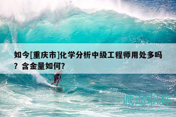 如今[重慶市]化學(xué)分析中級(jí)工程師用處多嗎？含金量如何？