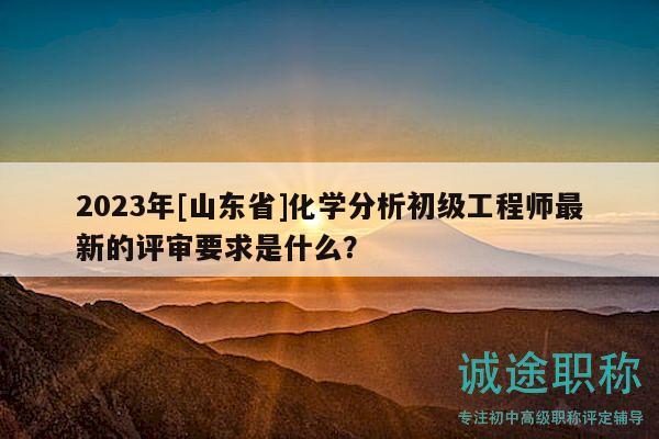 2023年[山東省]化學(xué)分析初級工程師最新的評審要求是什么？