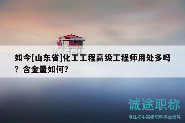如今[山東省]化工工程高級工程師用處多嗎？含金量如何？