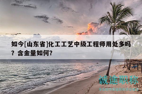 如今[山東省]化工工藝中級(jí)工程師用處多嗎？含金量如何？