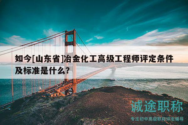 如今[山東省]冶金化工高級工程師評定條件及標(biāo)準(zhǔn)是什么？