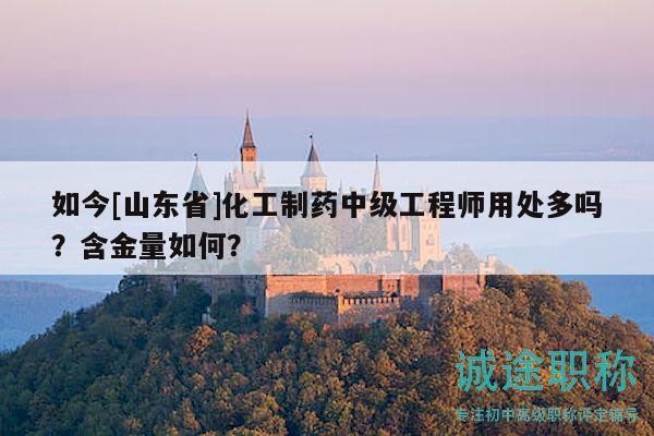 如今[山東省]化工制藥中級工程師用處多嗎？含金量如何？