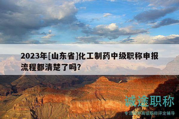 2023年[山東省]化工制藥中級(jí)職稱申報(bào)流程都清楚了嗎？