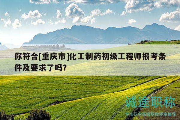 你符合[重慶市]化工制藥初級工程師報考條件及要求了嗎？