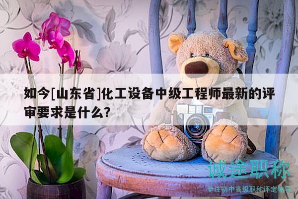 如今[山東省]化工設(shè)備中級工程師最新的評審要求是什么？