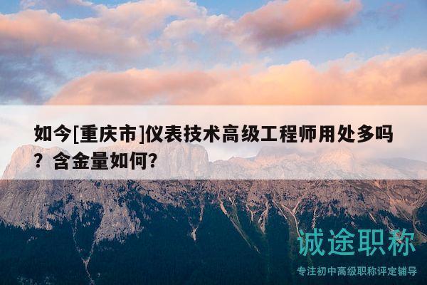 如今[重慶市]儀表技術(shù)高級(jí)工程師用處多嗎？含金量如何？