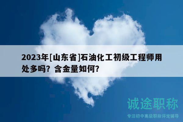 2023年[山東省]石油化工初級(jí)工程師用處多嗎？含金量如何？