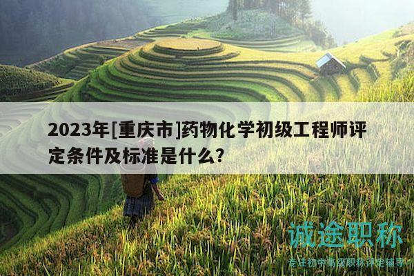 2023年[重慶市]藥物化學(xué)初級工程師評定條件及標(biāo)準(zhǔn)是什么？