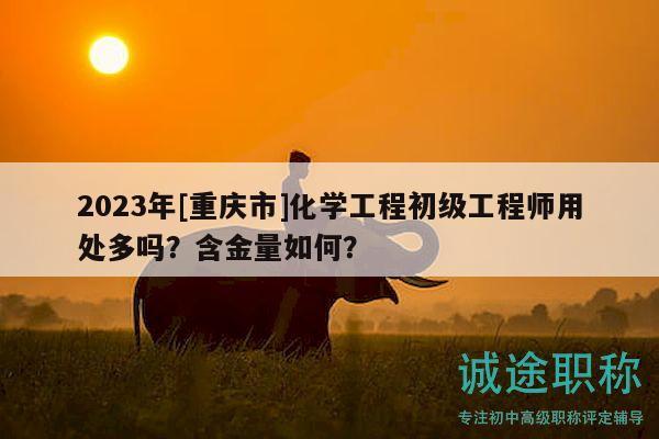 2023年[重慶市]化學(xué)工程初級工程師用處多嗎？含金量如何？