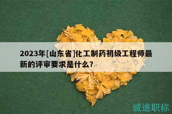 2023年[山東省]化工制藥初級工程師最新的評審要求是什么？