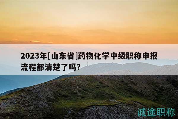 2023年[山東省]藥物化學中級職稱申報流程都清楚了嗎？