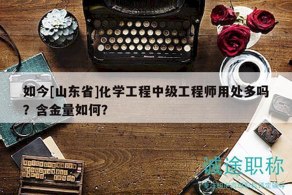 如今[山東省]化學(xué)工程中級(jí)工程師用處多嗎？含金量如何？