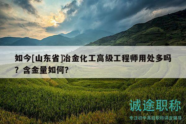 如今[山東省]冶金化工高級(jí)工程師用處多嗎？含金量如何？