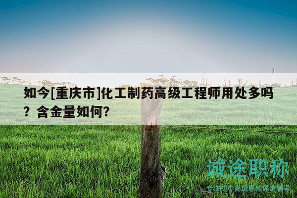 如今[重慶市]化工制藥高級(jí)工程師用處多嗎？含金量如何？