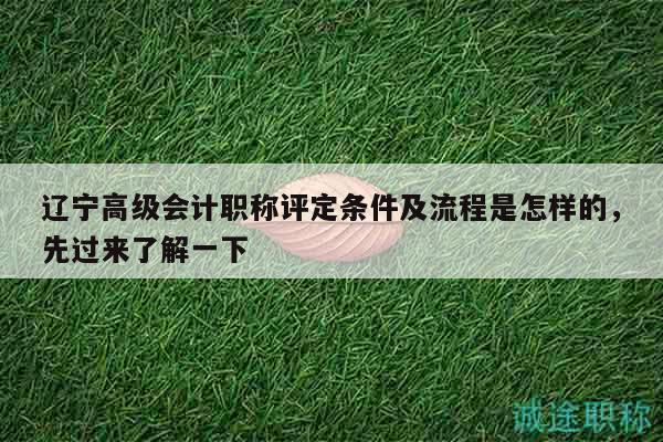 遼寧高級(jí)會(huì)計(jì)職稱(chēng)評(píng)定條件及流程是怎樣的，先過(guò)來(lái)了解一下