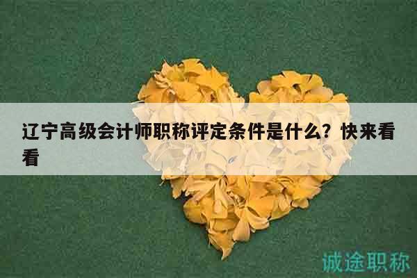 遼寧高級會計師職稱評定條件是什么？快來看看