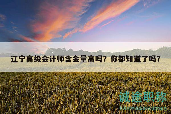 遼寧高級會計師含金量高嗎？你都知道了嗎？