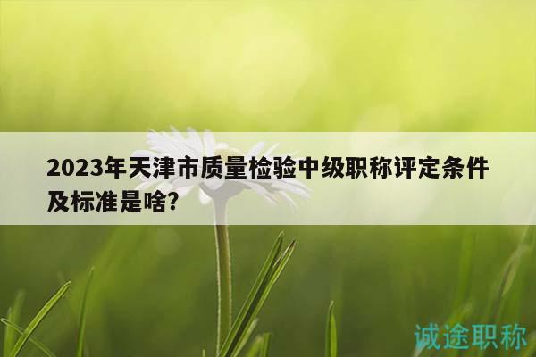 2023年天津市質(zhì)量檢驗(yàn)中級(jí)職稱評(píng)定條件及標(biāo)準(zhǔn)是啥？
