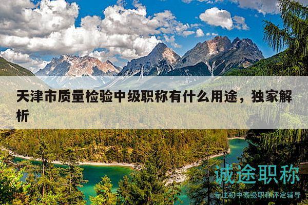 天津市質(zhì)量檢驗中級職稱有什么用途，獨家解析