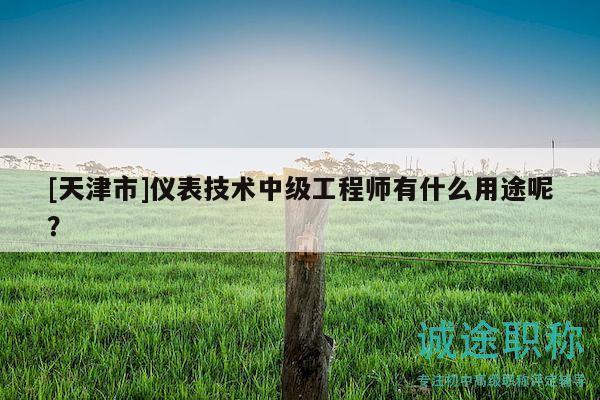 [天津市]儀表技術(shù)中級工程師有什么用途呢？
