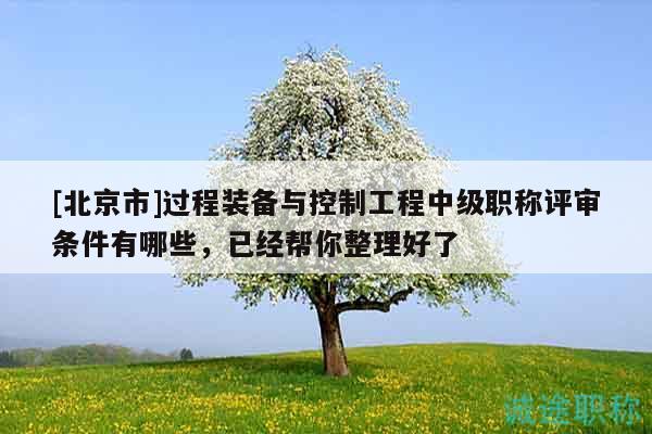 [北京市]過程裝備與控制工程中級(jí)職稱評(píng)審條件有哪些，已經(jīng)幫你整理好了