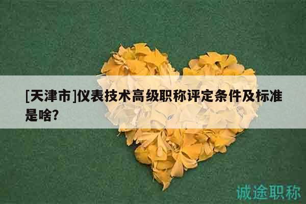 [天津市]儀表技術(shù)高級(jí)職稱評(píng)定條件及標(biāo)準(zhǔn)是啥？