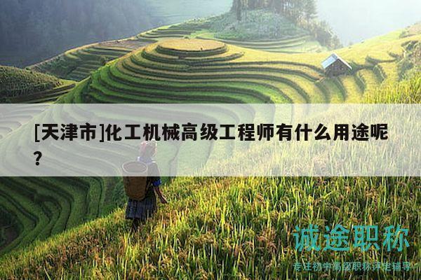 [天津市]化工機(jī)械高級(jí)工程師有什么用途呢？