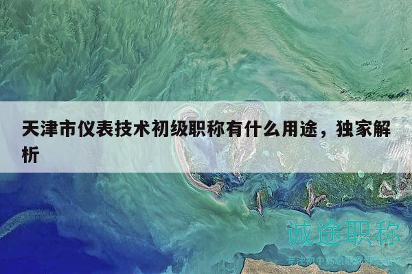 天津市儀表技術(shù)初級(jí)職稱有什么用途，獨(dú)家解析