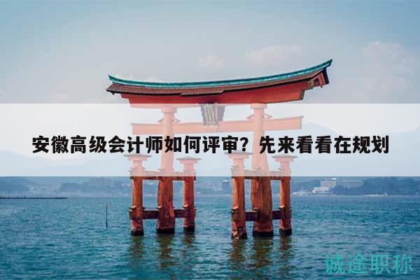 安徽高級會計師如何評審？先來看看在規(guī)劃